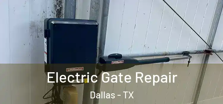  Electric Gate Repair Dallas - TX