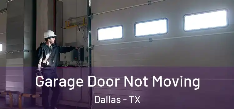  Garage Door Not Moving Dallas - TX