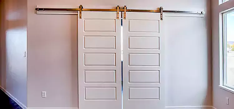 Glass Barn Door with Installation Hardware Kit Dallas